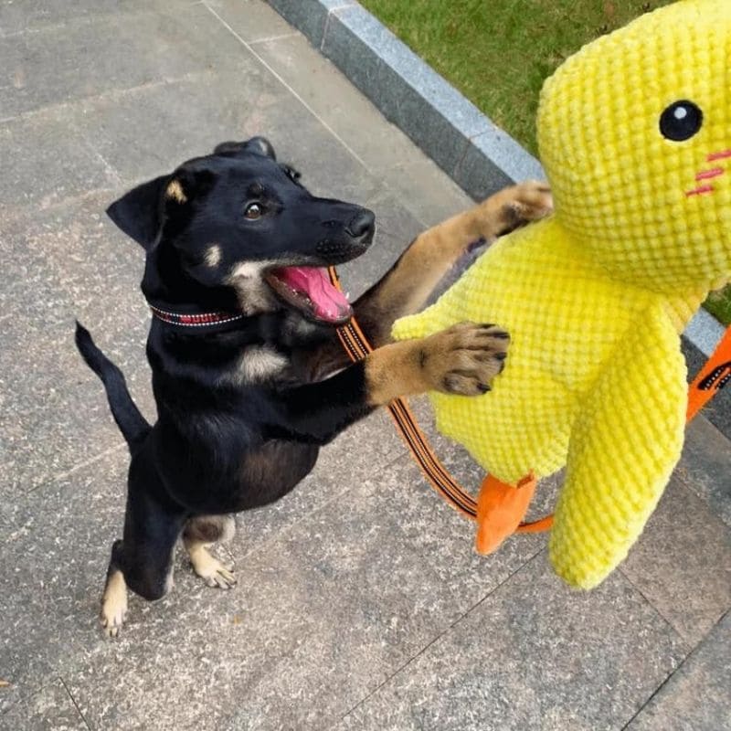 Anti-Stress Kuschelente