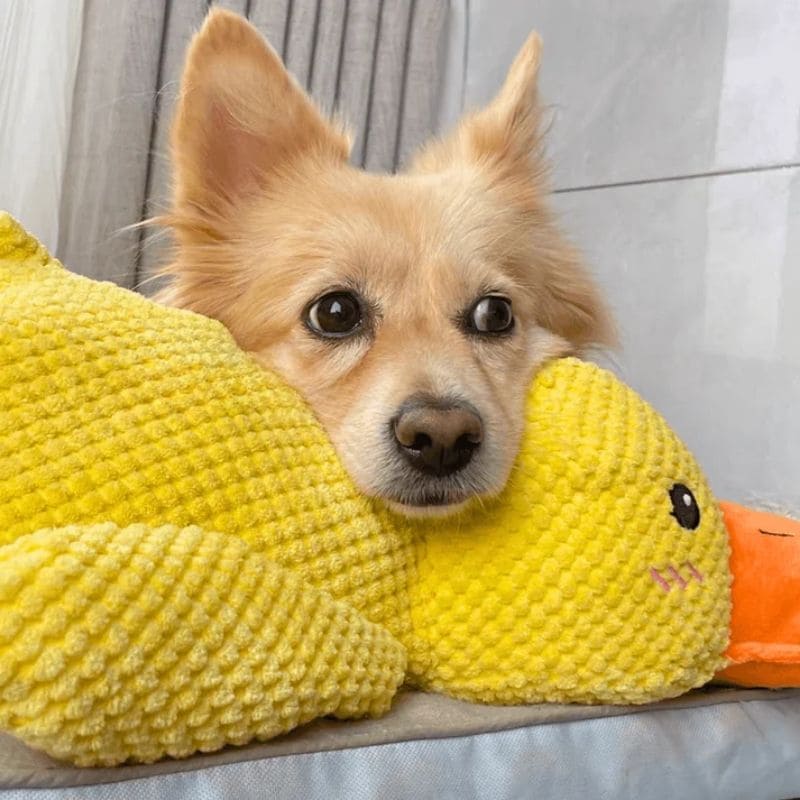 Anti-Stress Kuschelente
