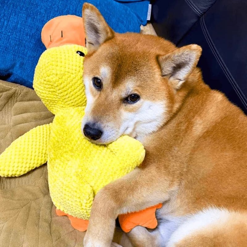 Anti-Stress Kuschelente