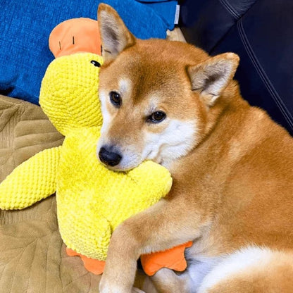 Anti-Stress Kuschelente