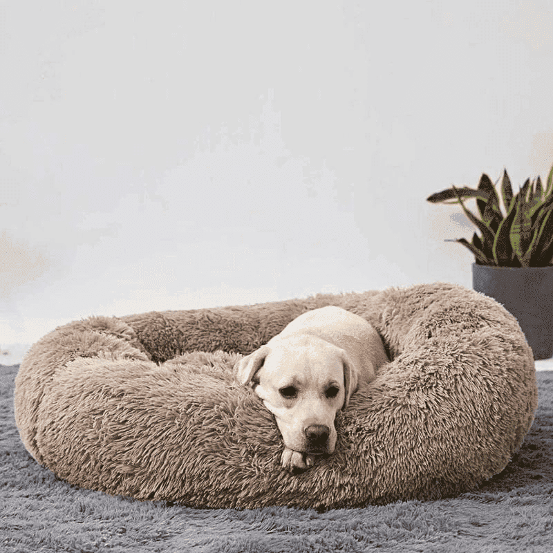 Premium Kuschel-Donut