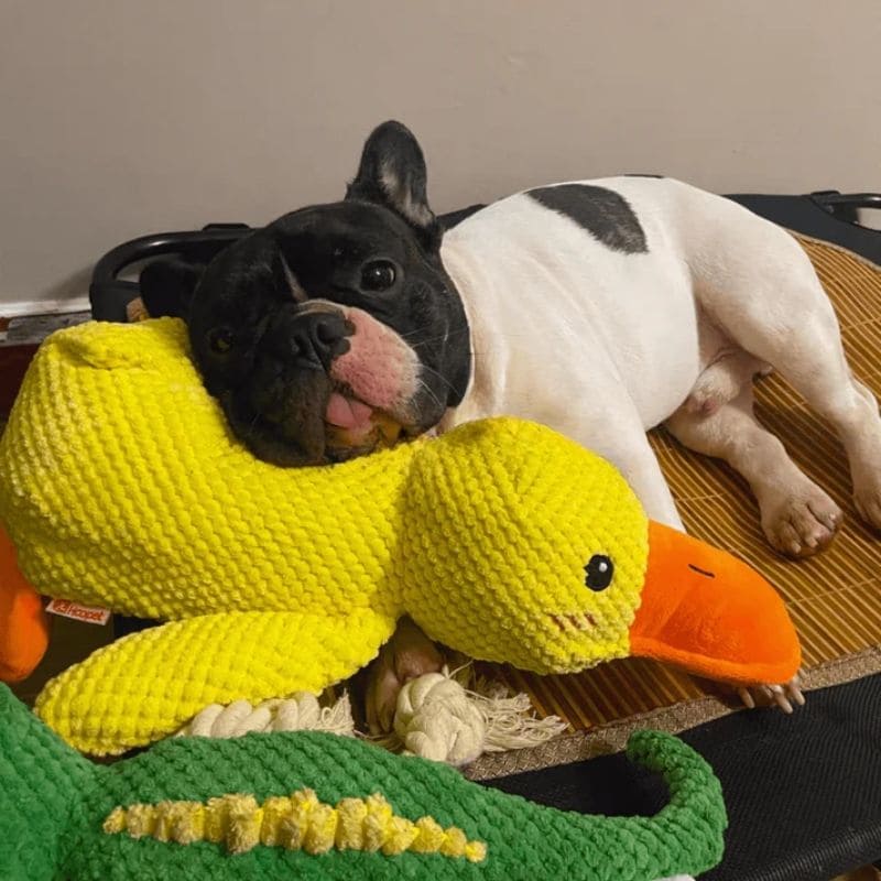 Anti-Stress Kuschelente
